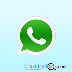 Whatsapp Mobile App